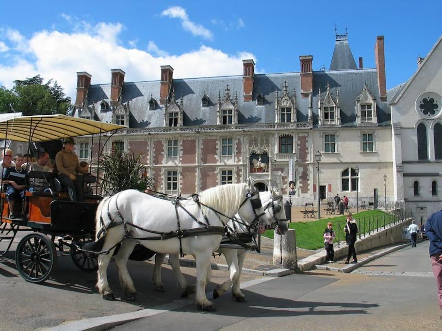 Blois City - Le Petit Louis XII ภายนอก รูปภาพ